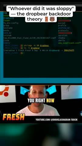 Short: a full-width terminal above a strip showing the streamer's face.